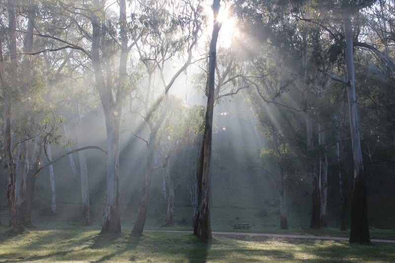 6127022622 c84bf87679 b