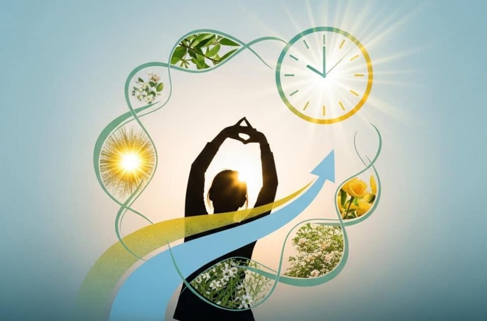 How Daily Routines Shape Your Mental Health